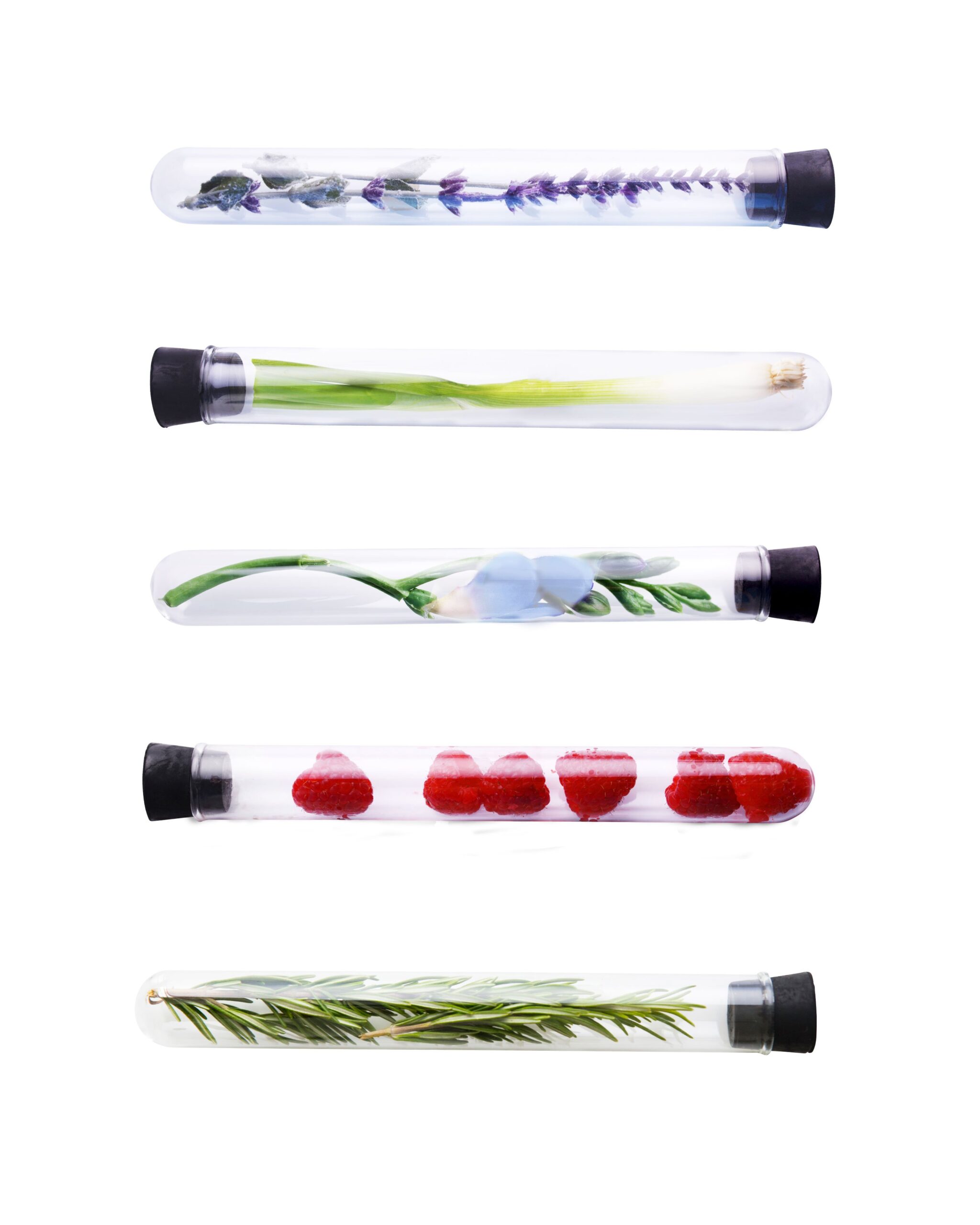 2022_10_19_Epionce_Botanicalsv2_final_AG
